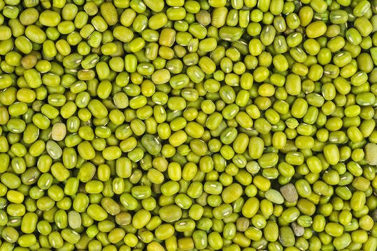 Moong (मूंग) grains for wholesale trading